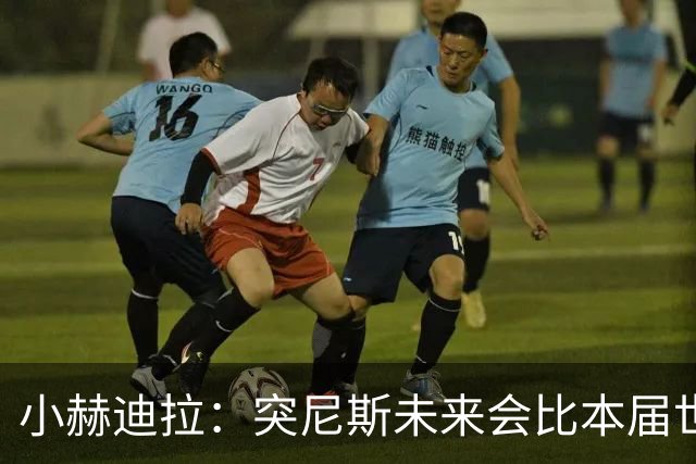 小赫迪拉：突尼斯未来会比本届世界杯更好 批评？我已经付出全力